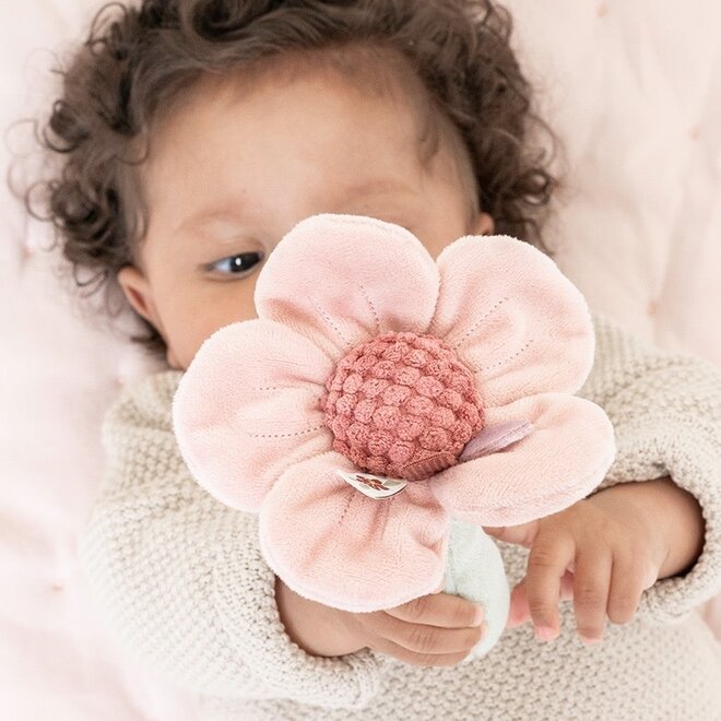 Rammelaar bloem - Roze - Fairy Garden