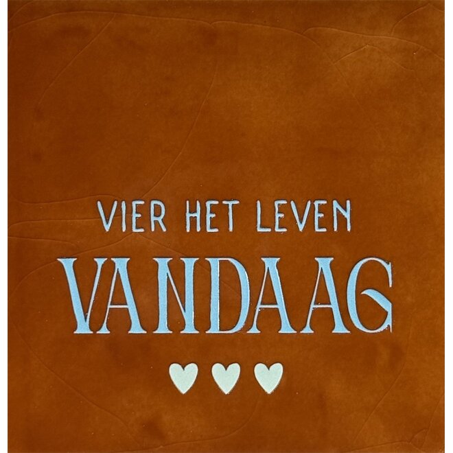 Tegeltje Vier het leven vandaag nieuw terra/warmblauw(lichtgroen)