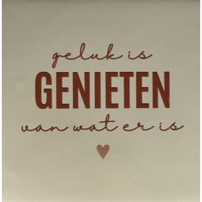 Tegeltje geluk is genieten van wat er is nieuw creme/taupe(nude roze)