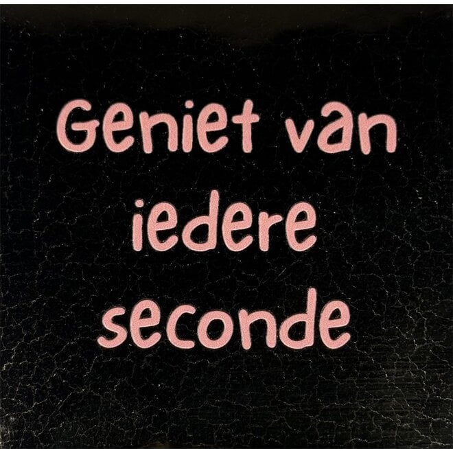 Tegeltje geniet van iedere seconde goud/zalm