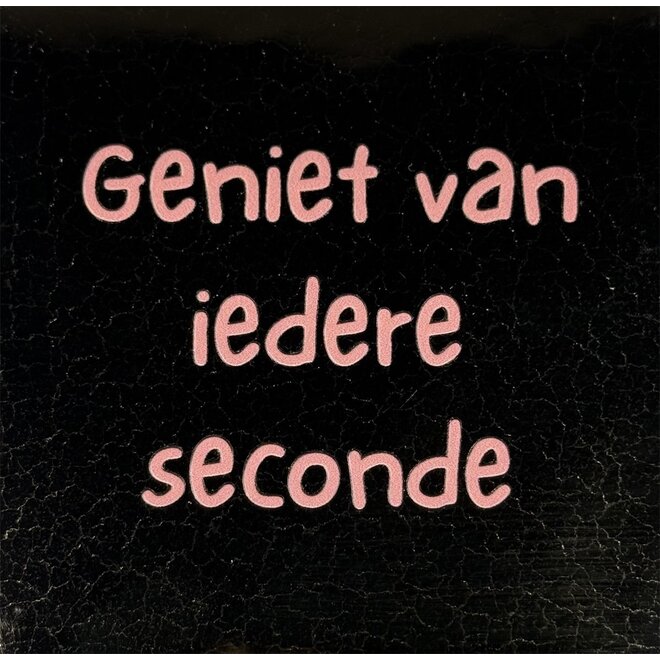 Tegeltje geniet van iedere seconde goud/zalm