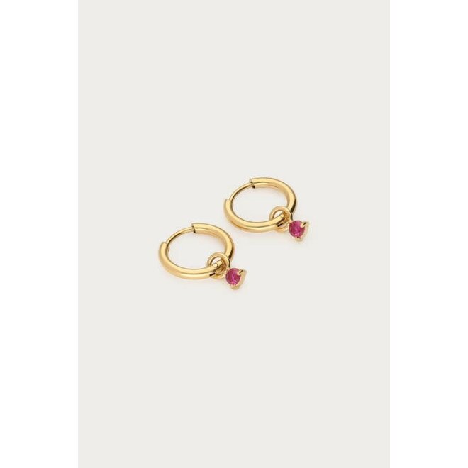 Minimalistische oorringen met rode strass steen goudkleurig