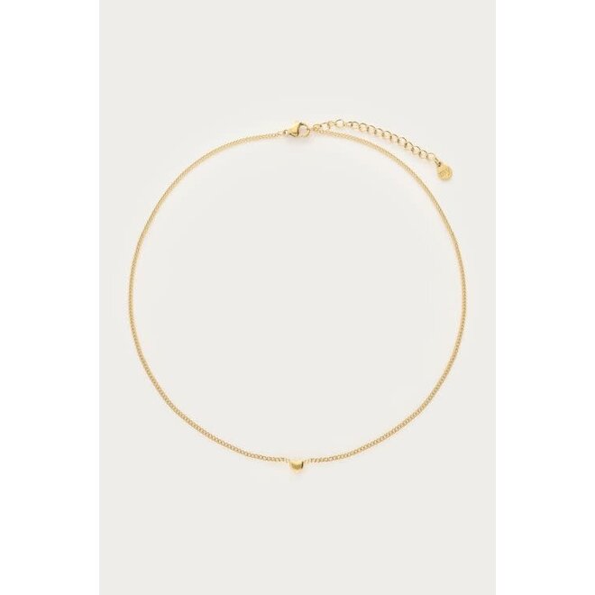 Botanical ketting met fijn hartje