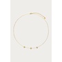 Botanical ketting met drie klaver bloemen