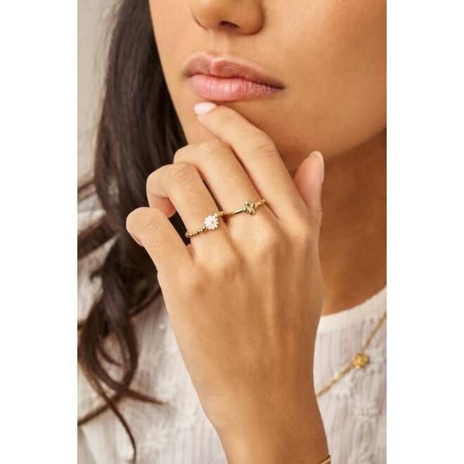 Botanical ring met klaver