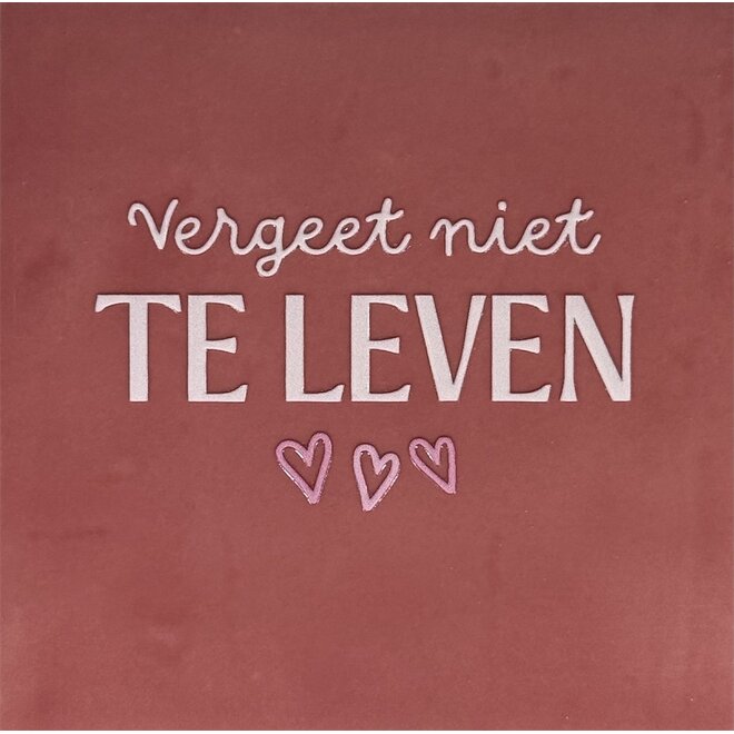 Tegeltje vergeet niet te leven roze/combi