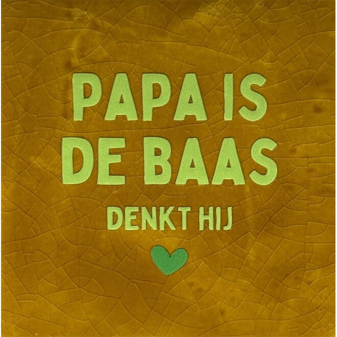 Tegeltje papa is de baas denkt hij oker/lime(knalgroen)
