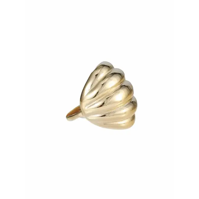 By Jam Ring statement schelp