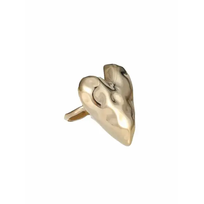 By Jam Ring statement met dicht hart