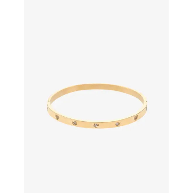 By Jam Bangle hartjes gevuld met steentjes