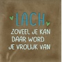 Tegel lach zoveel je kan daar word je vrolijk van taupe/turquoise(lichtgroen-appel)