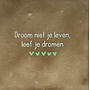 Tegel droom niet je leven, leef je dromen taupe/lichtgroen(mint)