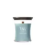 WW Cedarwood & Ocean Moss Medium Candle