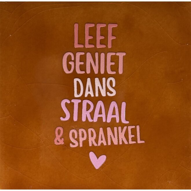 Tegel leef geniet dans straal & sprankel terra/combi