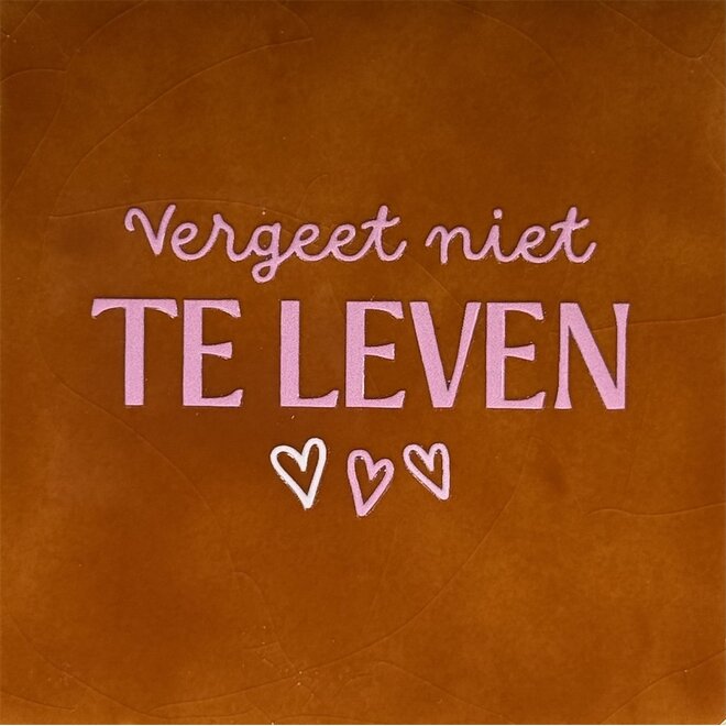 Tegeltje vergeet niet te leven terra/warmroze