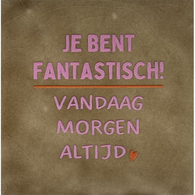 Tegeltje je bent fantastisch… taupe/warmroze(oranje)