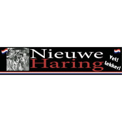 Spandoek PVC - Hollandse nieuwe