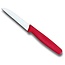 Victorinox Kartelmes Groentemes Victorinox