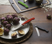 Victorinox Swiss classic opvouwbaar mes met kartel