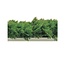 Fischer Decoratie Divider Greenery peterselie