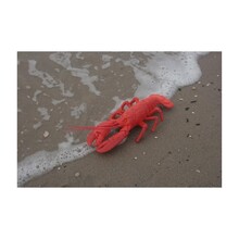 Decorative Lobster