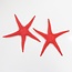 Neutraal Starfish decoration