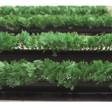 Decoratie groen Divider  peterselie