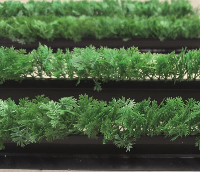 Decoratie groen Divider  peterselie