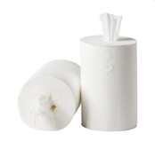 Handdoekrollen mini cellulose 2 laags coreless 12x72mtr