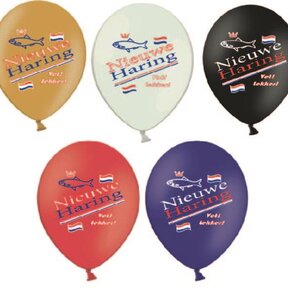 Ballonnen - Hollandse Nieuwe (50st.)