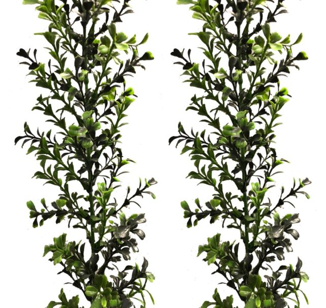 Decoratie bladslinger buxus