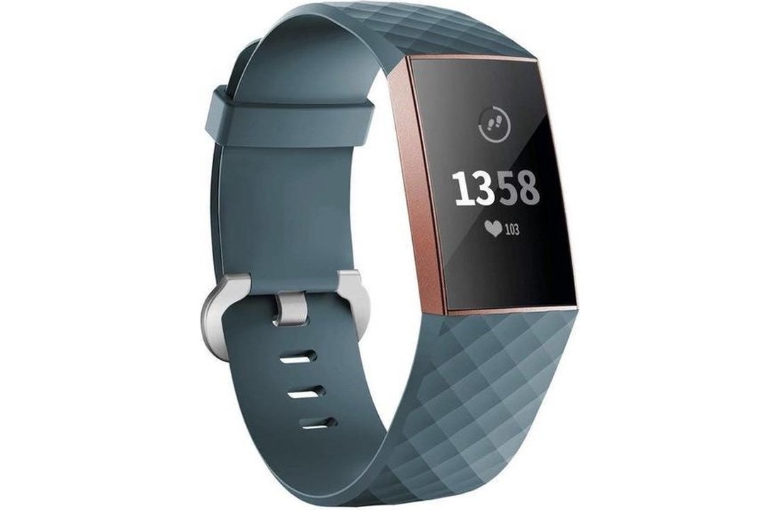 Fitbit Charge 3 / 4 Classic Bandje - Leisteen