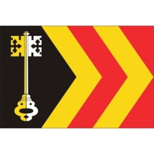 Vlag gemeente Bladel