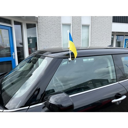 Oekraïense auto vlag