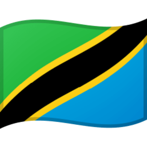 Tanzaniaanse vlaggen in diverse afmetingen