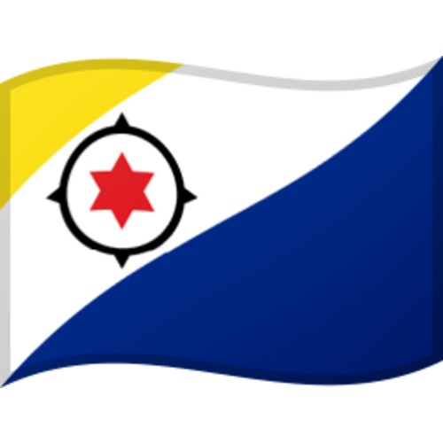 Bonaire vlaggen in diverse afmetingen