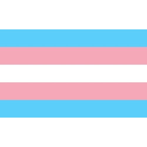 Transgender vlag