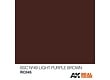 AK-Interactive BSC No49 Light Purple Brown - 10ml - RC045