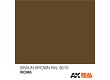 AK-Interactive Braun-Brown RAL 8010 - 10ml - RC065