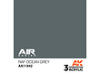AK-Interactive RAF Ocean Grey - 17ml - AK-Interactive - AK-11842