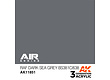 AK-Interactive RAF Dark Sea Grey BS381C/638 - 17ml - AK-Interactive - AK-11851