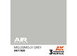 AK-Interactive MiG-25/MiG-31 Grey - 17ml - AK-Interactive - AK-11920
