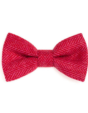 ORWELL AND BROWNE Donegal Tweed Bow Tie - Cerise