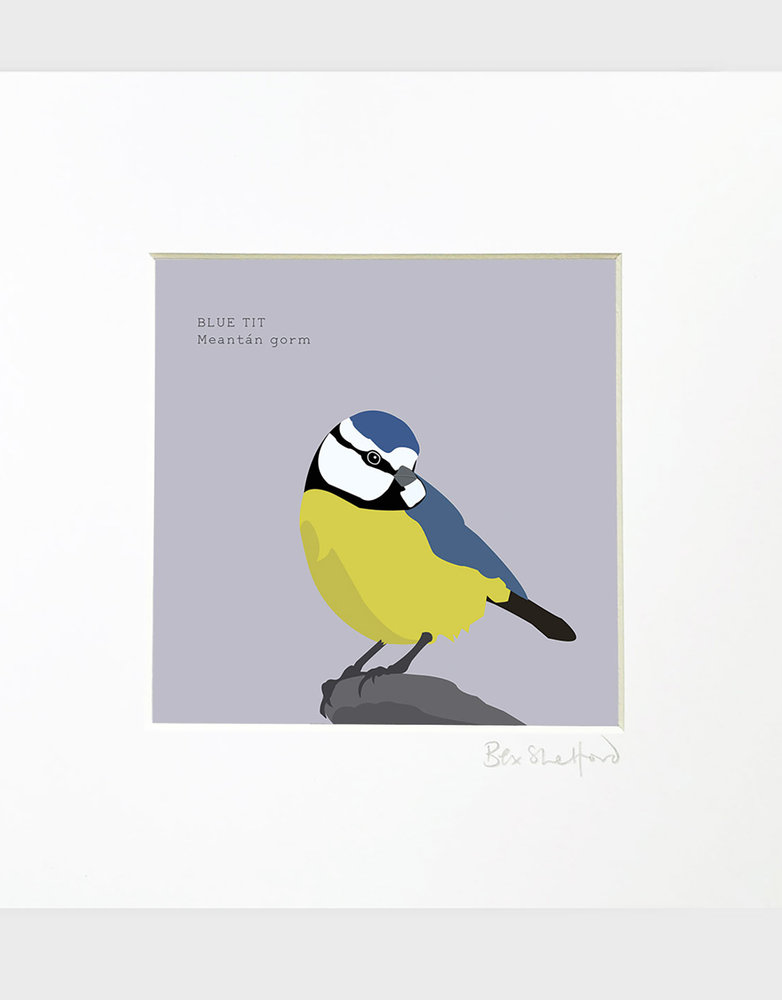 BEX SHELFORD Framed Print - Blue Tit