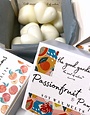 THE GOOD GARDEN Soy Wax Melts - Lost in Lavender