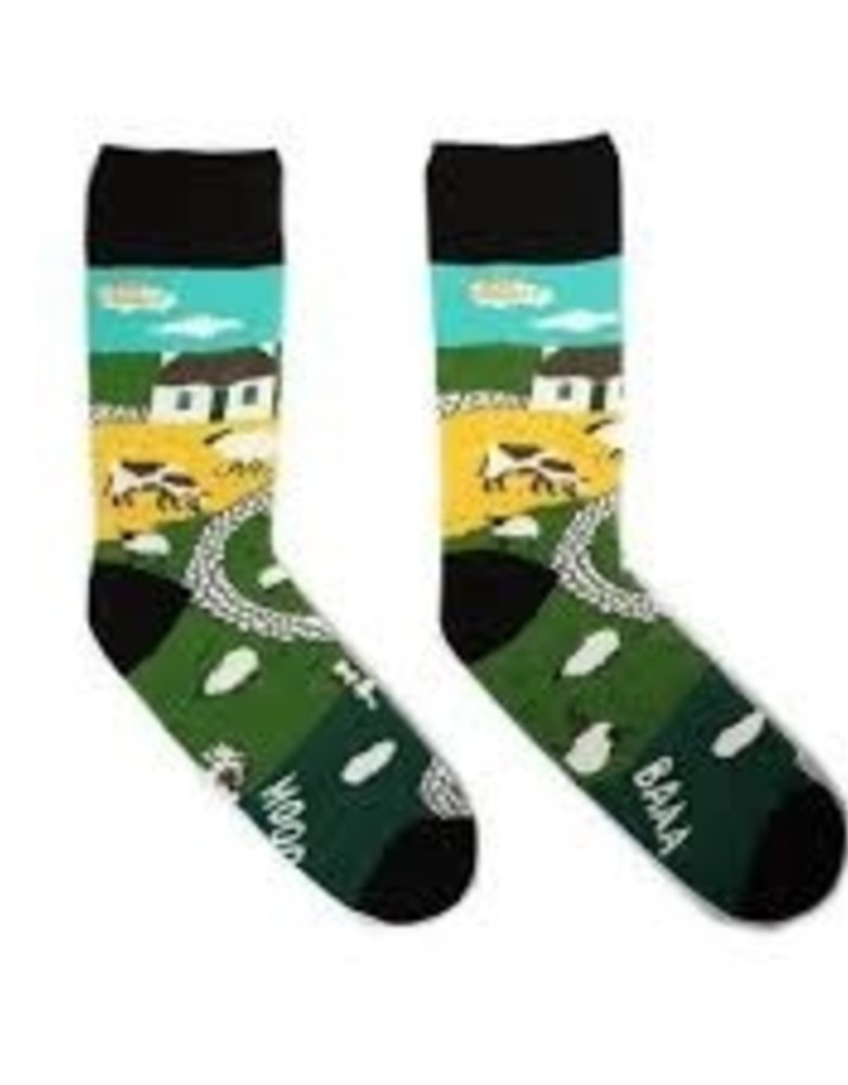 IRISH SOCKSCIETY Irish Landscape Socks - Size 3-7