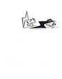 MARY K Silver Lightning Bolt Stud Earrings