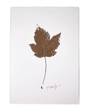 MAGGIE MARLEY A5 Copper Botanical Print - Sycamore Leaf