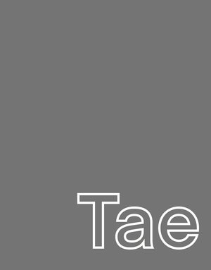 MY SHOP COLLECTION A3 Print Tae - Grey