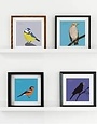 BEX SHELFORD Framed Print - Puffin